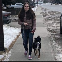 Laura G 🇨🇦 (@laurag333) 's Twitter Profile
