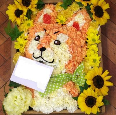 てつデノさんのプロフィール画像