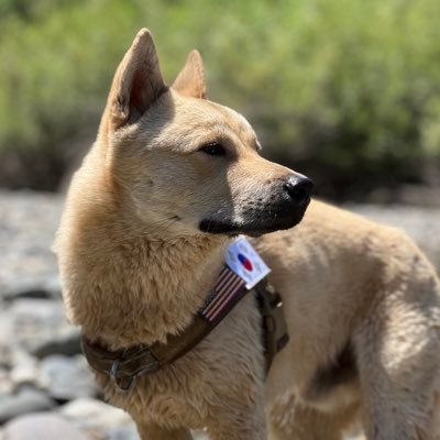 XRP, ETHE, BTC, ADA, HBAR and NFTs explorer