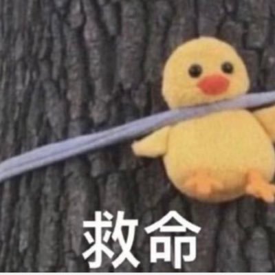 jii911_ji's profile picture. 💔💔| From🇨🇳to 🇯🇵 to🇸🇬