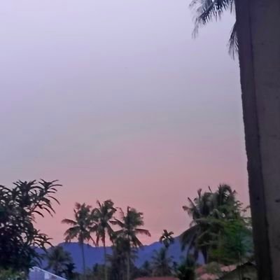 goatsius77913's profile picture. 