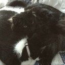 Peggy Solomon - @peggy_solomon - Twitter