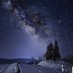 gece mavis (@gecemavis425848) Twitter profile photo gece mavis (@gecemavis425848) Twitter profile photo