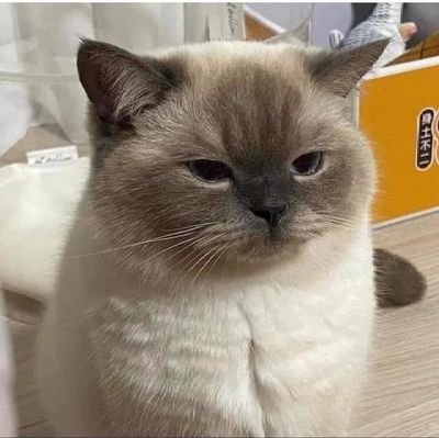 EiThein24840932's profile picture. 