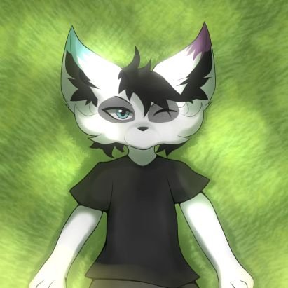 Average trashy nerdy furry bastard with ADHD // retweet maniac // speaks 🇲🇽🇺🇲 // Industrial Design student // IT beginner // PFP: @DarkBraixen