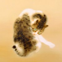 しらうめ (@shiraumemino) 's Twitter Profile Photo しらうめ (@shiraumemino) 's Twitter Profile Photo