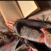 حَ٧. (@7li0h) Twitter profile photo حَ٧. (@7li0h) Twitter profile photo