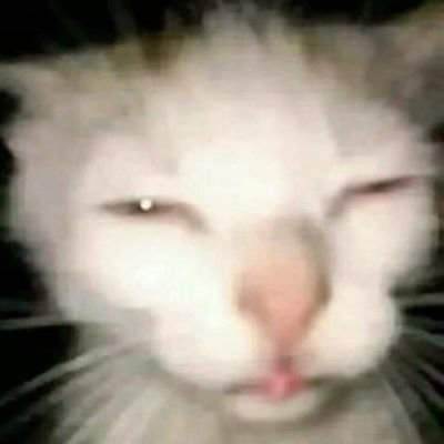 Panuwat1274519's profile picture. 