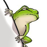 ラクト89🐸 (@rakuto89) 's Twitter Profile
