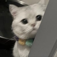 みん (@tsxl___) 's Twitter Profile