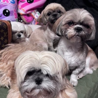 oojhoanaoo's profile picture. 🇬🇺🇵🇭