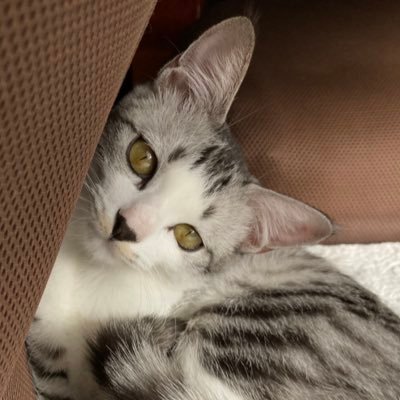 さだだぁん。さんのプロフィール画像