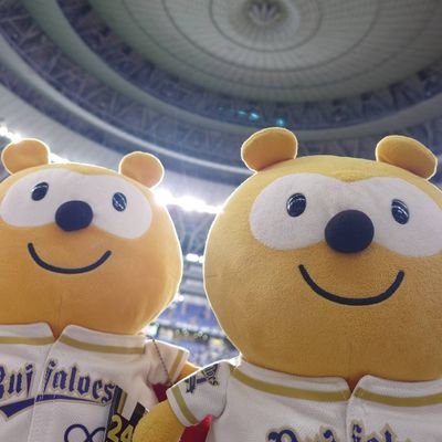 関東在住、スーパー勤務です。ほっともっと神戸、王子動物園など神戸に行くことが楽しみなオリファンです。皆さんのポストに日々元気を貰ってます。中嶋監督は永遠の師匠⚾️王子動物園のタンタンさん🐼、ロバのブンナズ、ぞうのマックんとズゼさんが推し😊競馬も好き🏇オニャンコポン頑張れ🏇💨