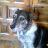 Ivillo96's profile image