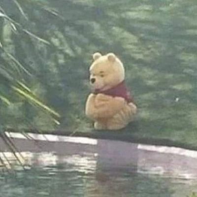 Usama_1947's profile picture. Agroecology with a focus on Soil Organic Carbon Stability