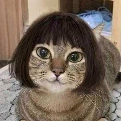 Netionsolana's profile picture. the most coquettish cat on Solana -  Neti will melt faces🤑

ca: soon👀

tg: soon