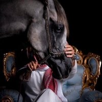 Waleed (@waleed5ll53) 's Twitter Profile