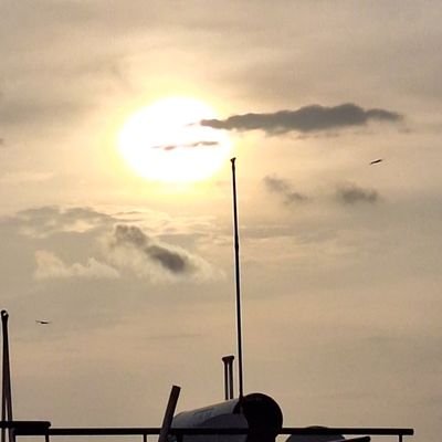 Susanpro205's profile picture. 