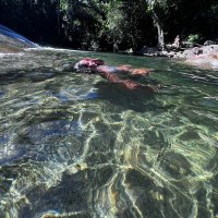 Karina Malveira (@malveiraaa) 's Twitter Profile Photo