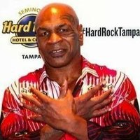 krenar (@krenar5_) 's Twitter Profile