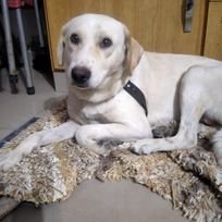 cherry122623271's profile picture. 