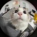 Web (@webbyshills) Twitter profile photo Web (@webbyshills) Twitter profile photo