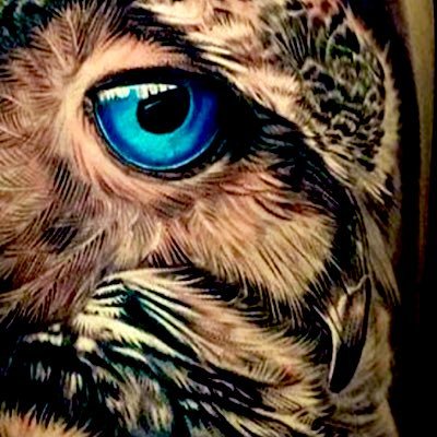 Follow me around the world Nightlife 🪩 Nature 🌲 Animals 🐿️ Food 🍣 Festivals 🍻 Travel 🛩️
