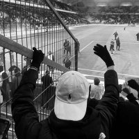 Jules 🇨🇵🦁 (@juju_739) 's Twitter Profile Photo Jules 🇨🇵🦁 (@juju_739) 's Twitter Profile Photo