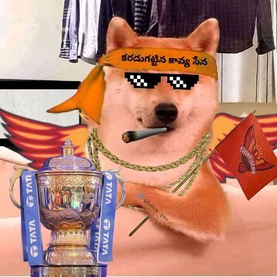 editornisaar's profile picture. NTR🐯 || PB🙇 || NKR 🛐 || SRH🧡