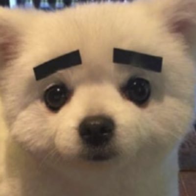 젼른을맛보세요