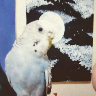 siwqm_'s profile picture. They called me weak
Like I'm not just somebody's daughter