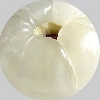 clmt569763's profile picture. 