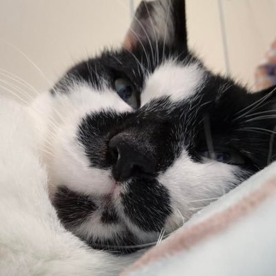 ajAJ0201's profile picture. 22.02.01 우리집 막내딸 입양