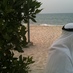 ريم بنت حسن .. (@albanafsag) Twitter profile photo ريم بنت حسن .. (@albanafsag) Twitter profile photo