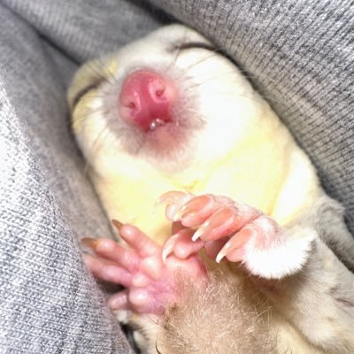 kriss8828's profile picture. 