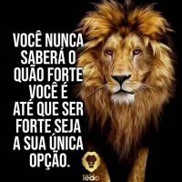 Jéssica (@jeesicaalves) 's Twitter Profile