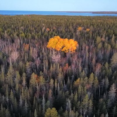 Sunrise & Sunset videos for those who can’t make it outside.