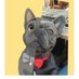Jane Doe (@sylvilein50) Twitter profile photo Jane Doe (@sylvilein50) Twitter profile photo