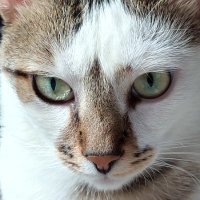 Komti (@nrpmk) Twitter profile photo