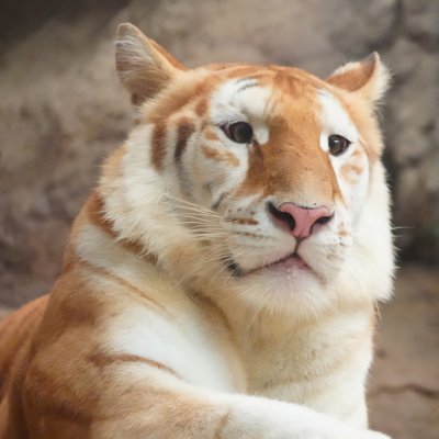 phjgrade5's profile picture. 