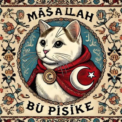 OshiftKG's profile picture. #fpga #digitaldesignengineer #digitalsignalprocesing #pcbdesigner