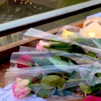 koba_🌷 (@kobamibengaku) Twitter profile photo