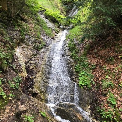 Benji_Williams's profile picture. 