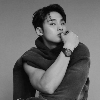 un homme mûr qui est très beau et très petit ami, il s'appelle Kim Mingyu.