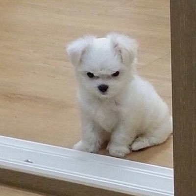 gone0526's profile picture. 