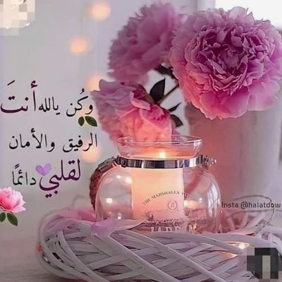 لا اله الا الله محمد رسول الله
محاربة الاخوان والزنادقة والخوارج بالكلمة والدين والسنة