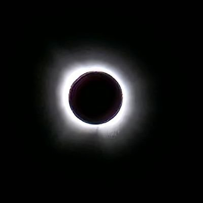 halo0423's profile picture. 