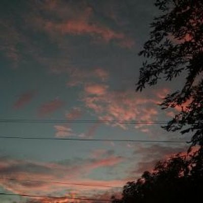 igna86510djjsjs's profile picture. 