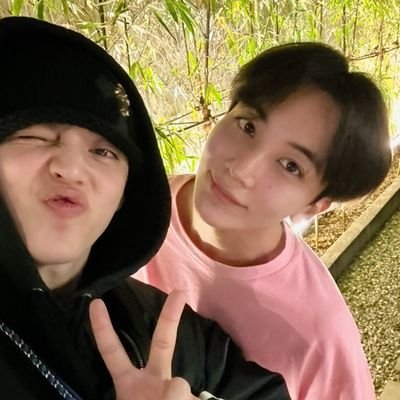 i write stuff, kinda. | rps | carat only | https://t.co/bKVpKbQ2r0