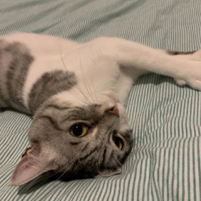 Waleria888's profile picture. I was born perfect.♕